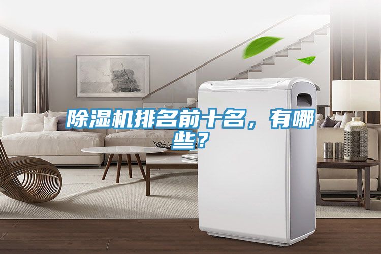 除濕機(jī)排名前十名，有哪些？