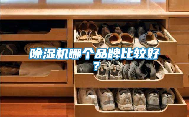 除濕機哪個品牌比較好？