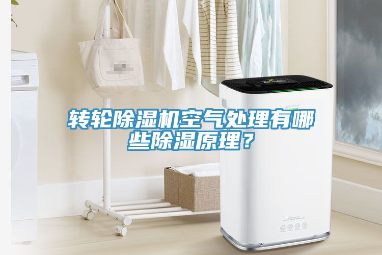 轉(zhuǎn)輪除濕機(jī)空氣處理有哪些除濕原理？
