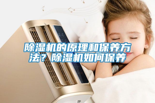 除濕機(jī)的原理和保養(yǎng)方法？除濕機(jī)如何保養(yǎng)
