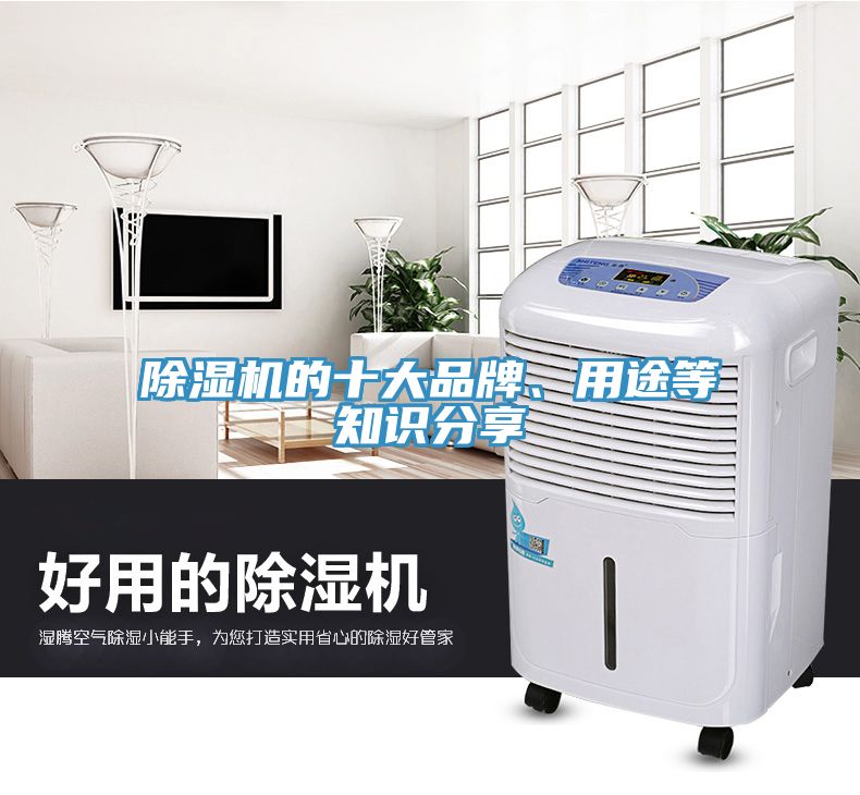 除濕機的十大品牌、用途等知識分享