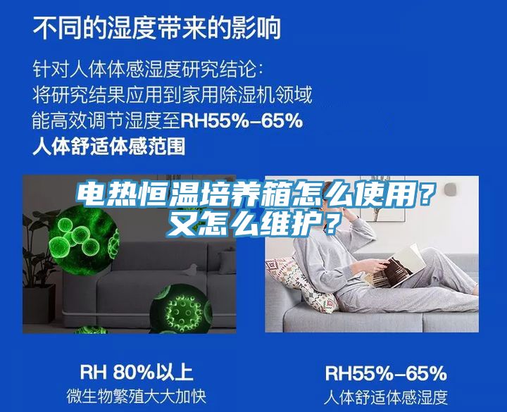 電熱恒溫培養(yǎng)箱怎么使用？又怎么維護(hù)？