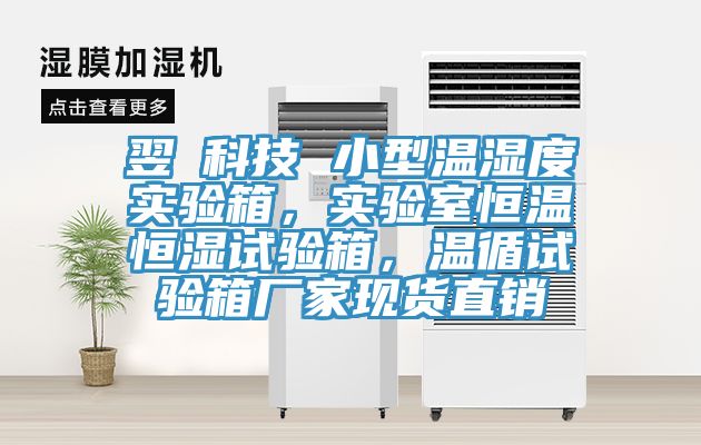 翌昇科技 小型溫濕度實(shí)驗(yàn)箱，實(shí)驗(yàn)室恒溫恒濕試驗(yàn)箱，溫循試驗(yàn)箱廠家現(xiàn)貨直銷