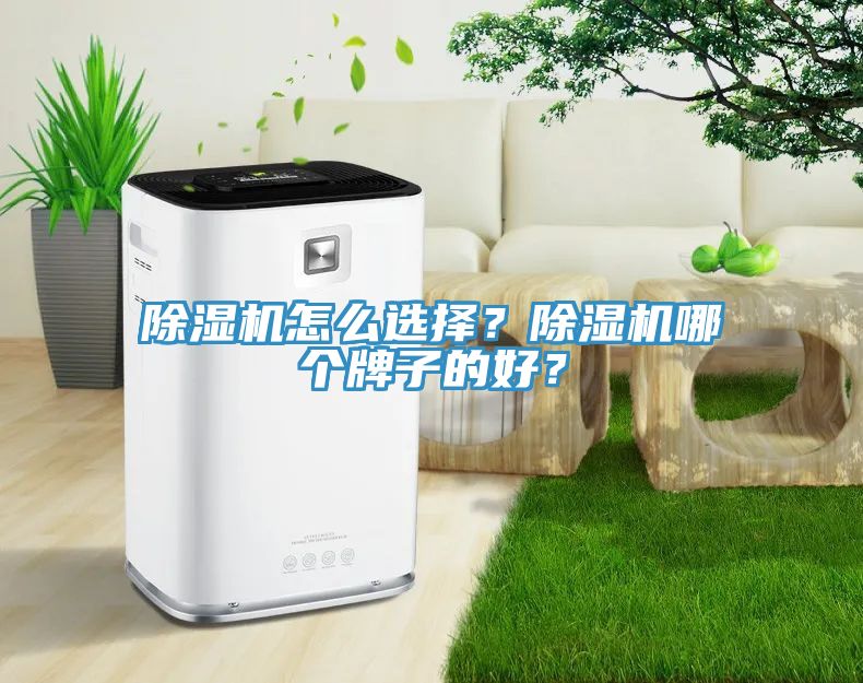 除濕機(jī)怎么選擇？除濕機(jī)哪個牌子的好？