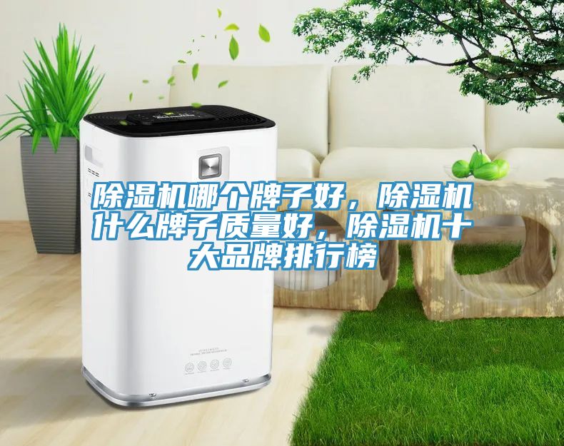 除濕機哪個牌子好，除濕機什么牌子質量好，除濕機十大品牌排行榜