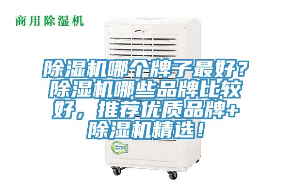 除濕機哪個牌子最好？除濕機哪些品牌比較好，推薦優(yōu)質(zhì)品牌+除濕機精選！