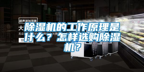 除濕機的工作原理是什么？怎樣選購除濕機？