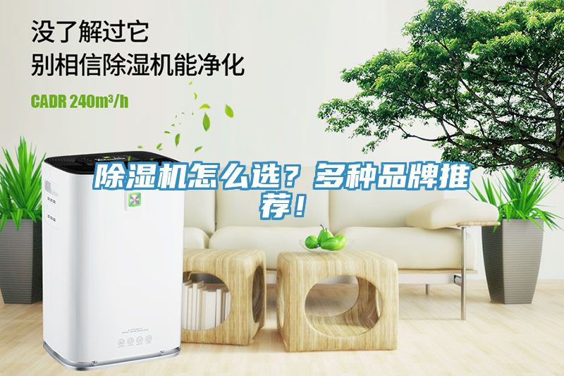 除濕機(jī)怎么選？多種品牌推薦！