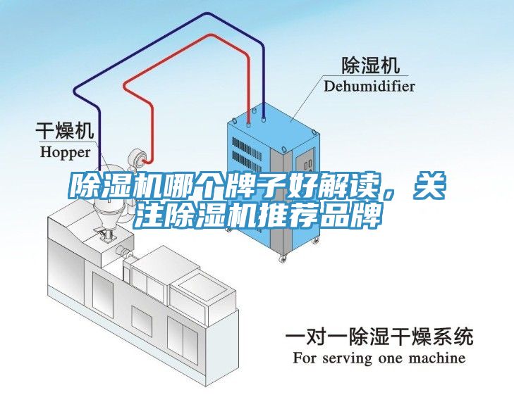 除濕機(jī)哪個牌子好解讀，關(guān)注除濕機(jī)推薦品牌