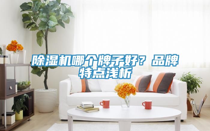 除濕機哪個牌子好？品牌特點淺析