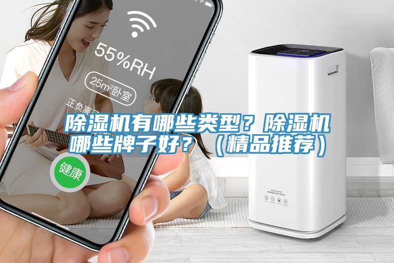 除濕機(jī)有哪些類型？除濕機(jī)哪些牌子好？（精品推薦）