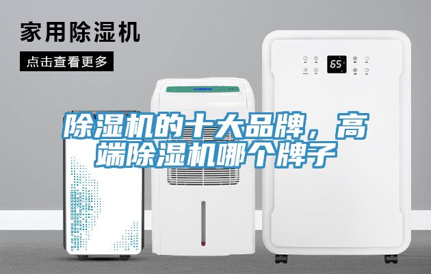 除濕機的十大品牌，高端除濕機哪個牌子